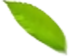 91视频下载污滲濾液處理